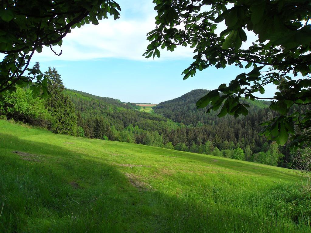 Ferienwohnung Wildenreuth Weidenberg 外观 照片