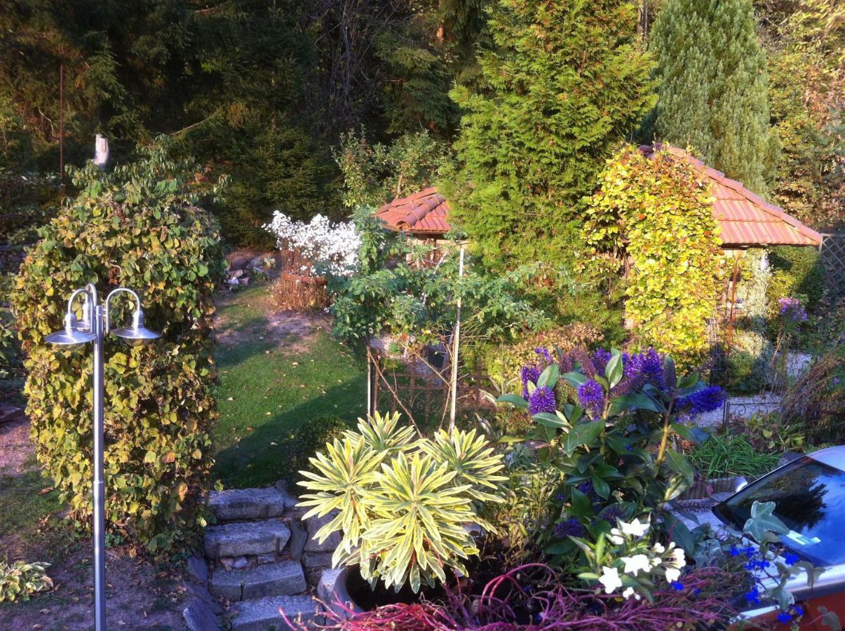 Ferienwohnung Wildenreuth Weidenberg 外观 照片