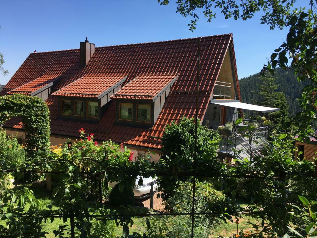 Ferienwohnung Wildenreuth Weidenberg 外观 照片