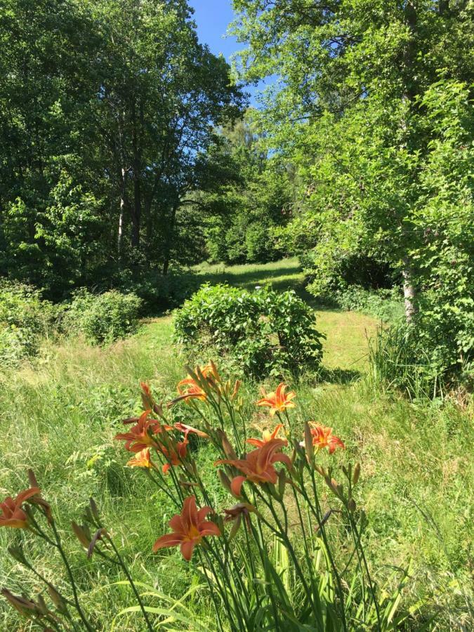 Ferienwohnung Wildenreuth Weidenberg 外观 照片